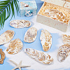 Concave Oyster Shells for Home Vase Filler AJEW-WH0880-34-4