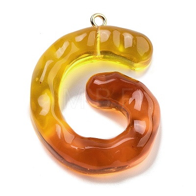 Resin Pendant FIND-Q107-01G-01-1