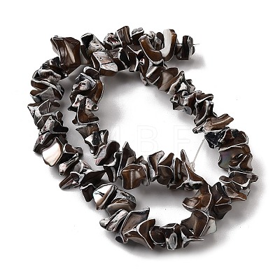 Natural Trochid Shell/Trochus Shell Beads Strands SHEL-B003-02-1