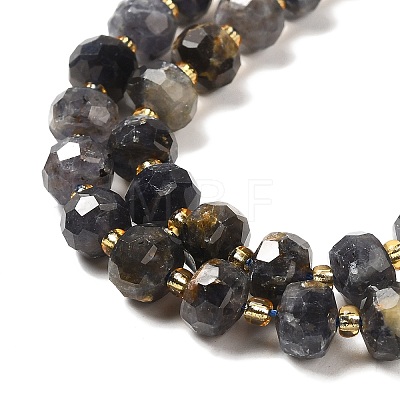 Natural Iolite Beads Strands G-P508-A12-01-1