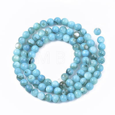 Freshwater Shell Beads Strands SHEL-S276-32C-1