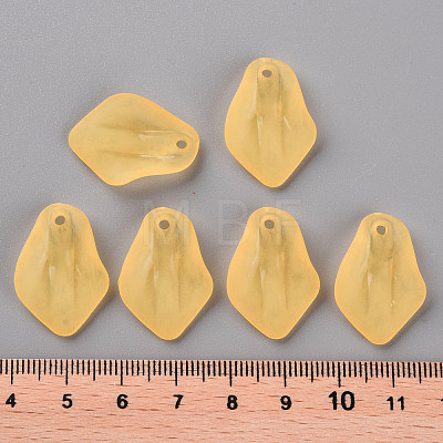 Transparent Frosted Acrylic Pendants MACR-S371-03A-719-1
