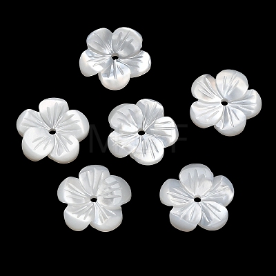 Natural White Shell Beads SH-CBA93AD-07B-1