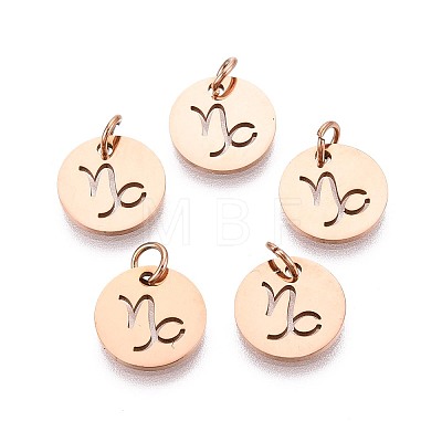 304 Stainless Steel Charms STAS-Q201-T445-10R-1