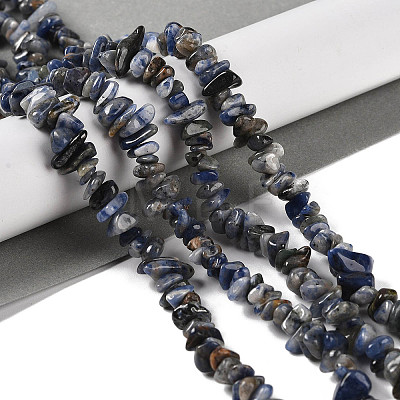 Natural Sodalite Beads Strands G-P530-A01-01-1