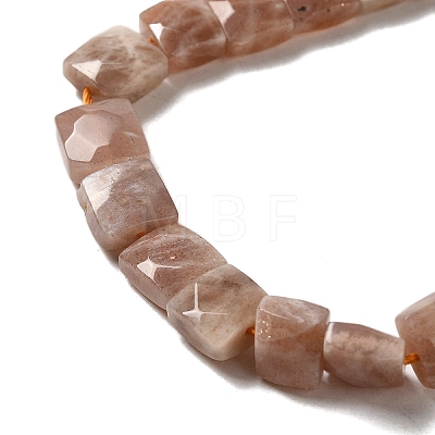 Natural Sunstone Beads Strands G-C109-A09-01-1