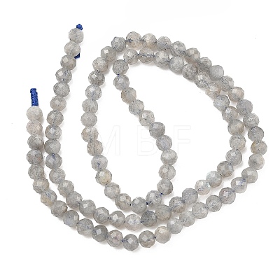Natural Labradorite Beads Strands G-L642-F07-4mm-1