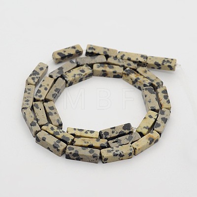 Natural Dalmatian Jasper Cuboid Beads Strands G-N0153-16-1