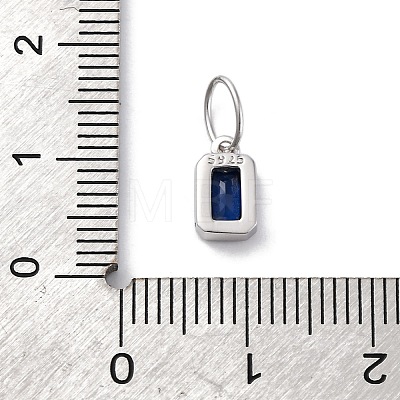 925 Sterling Silver Cubic Zirconia Charms STER-NH0014-01P-10-1