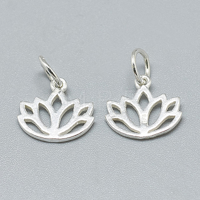 925 Sterling Silver Charms STER-T002-277S-1