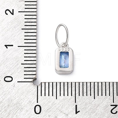 925 Sterling Silver Cubic Zirconia Charms STER-NH0014-01P-09-1