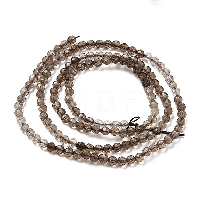 Natural Smoky Quartz Beads Strands G-E608-A04-1