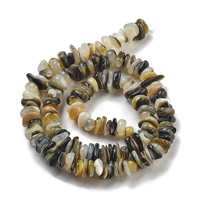 Natural Black Lip Shell Beads Strands BSHE-G038-04-1