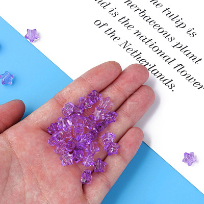 Transparent Acrylic Beads MACR-S373-45-B14-1