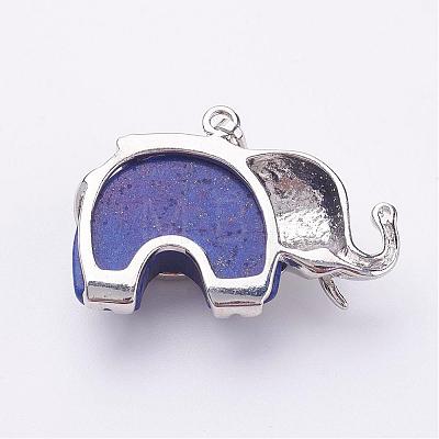 Natural Dyed Lapis Lazuli Pendants G-P268-10-1