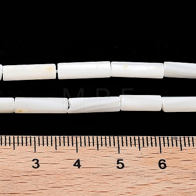 Freshwater Shell Beads Strands BSHE-L037-13-1