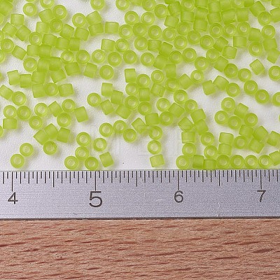 MIYUKI Delica Beads SEED-X0054-DB0766-1