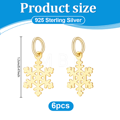 6Pcs 925 Sterling Silver Charms PALLOY-PH01951-1