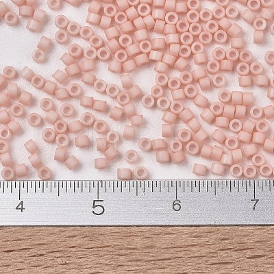 MIYUKI Delica Beads SEED-X0054-DB1513-1