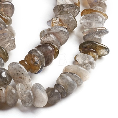Natural Labradorite Chips Beads Strands G-D0002-A06-1
