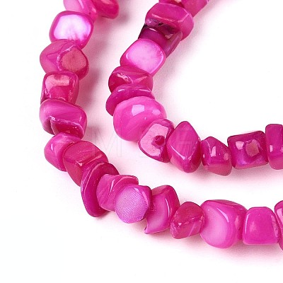 Natural Freshwater Shell Beads Strands SHEL-N037-04E-1