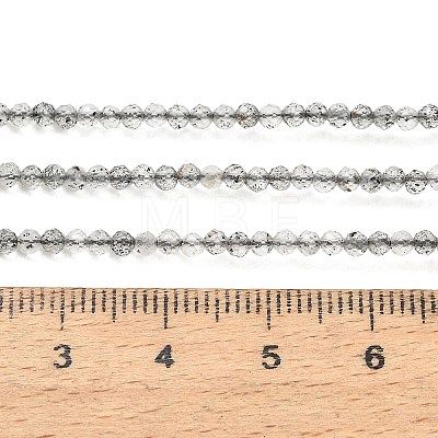 Natural Cloudy Quartz Beads Strands GG-CBA3921-A06-2mm-1