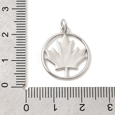Brass Pendants KK-Z147-13P-1