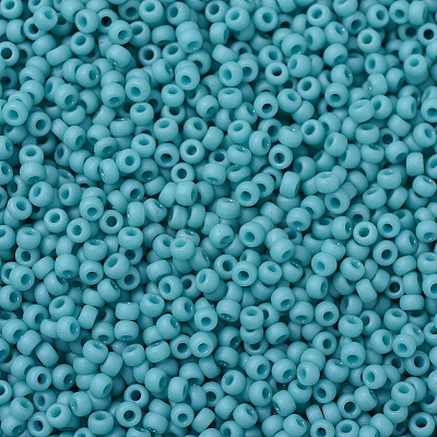 MIYUKI Round Rocailles Beads X-SEED-G007-RR2029-1