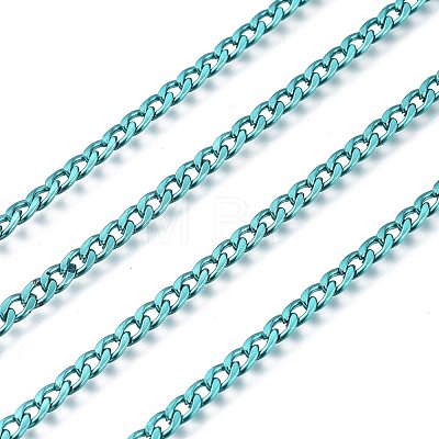 Electrophoresis 304 Stainless Steel Curb Chains CHS-I003-Q05-1