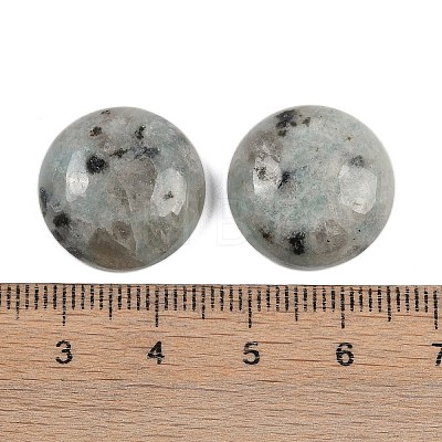 Natural Sesame Jasper Cabochons G-T020-18mm-44-1