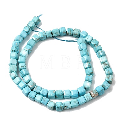 Natural Howlite Bead Strands G-H345-C01-01-1