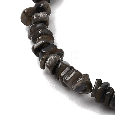 Natural Freshwater Shell Beads SHEL-B003-01J-1