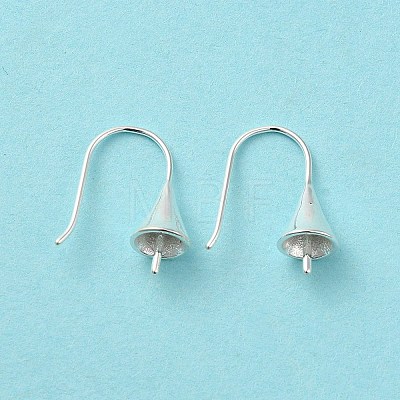 925 Sterling Silver Earring Hooks STER-K174-09S-1