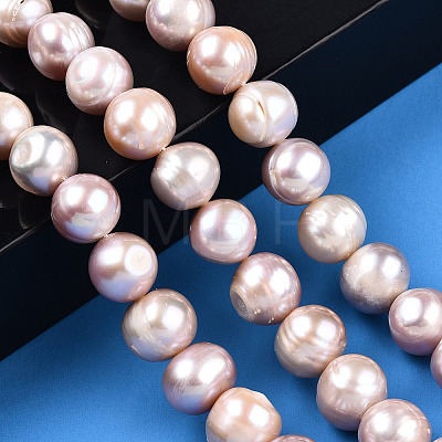 Natural Cultured Freshwater Pearl Beads Strands PEAR-N013-10B-1