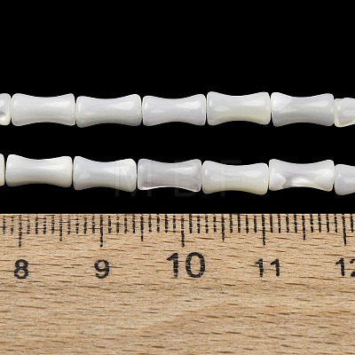 Natural Trochid Shell/Trochus Shell Beads Strands SH-CBA2978-12-1
