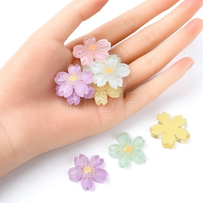 20Pcs 5 Colors Translucent Resin Cabochons OHAR-YW0001-01-1