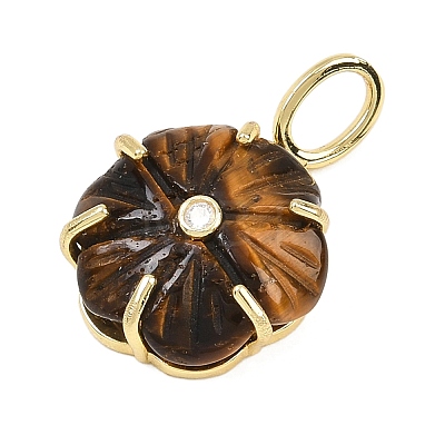 Natural Tiger Eye Carved Pendants G-G330-01G-03-1