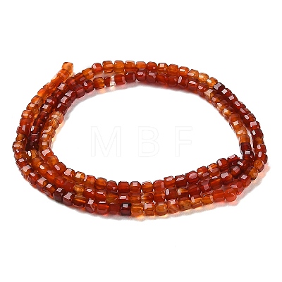 Natural Carnelian Beads Strands G-Q002-C01-02-1