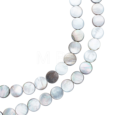 Natural Black Lip Shell Beads Strands SHEL-BC0001-025-1