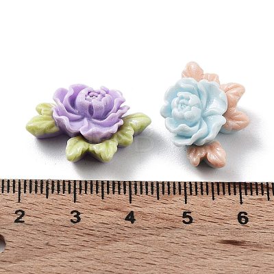 Opaque Resin Decoden Cabochons RESI-D010-02-1