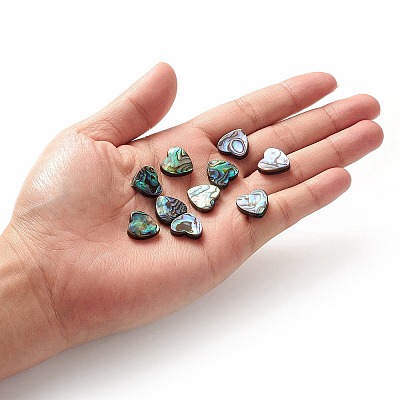 Abalone Shell/Paua Shell Beads SHEL-T005-01-1