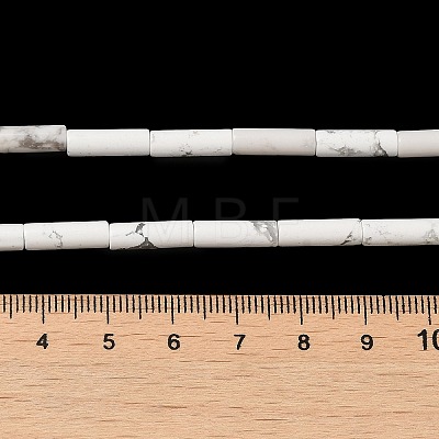 Synthetic Howlite Beads Strands G-K340-C06-01-1
