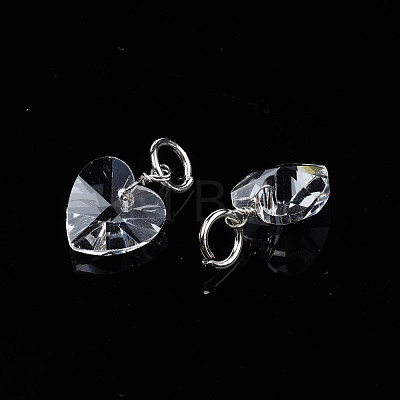 Faceted Transparent Glass Charms GLAA-T024-04L-1