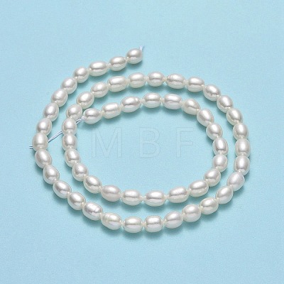 Natural Cultured Freshwater Pearl Beads Strands PEAR-J006-17B-01-1