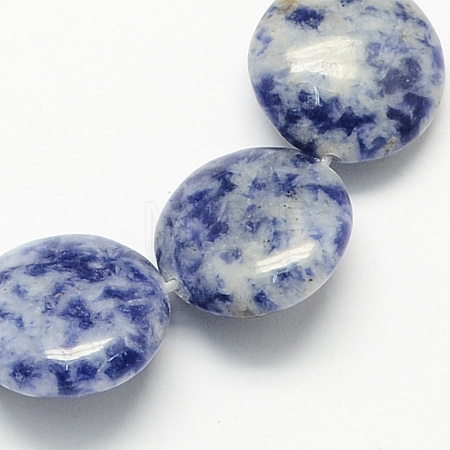 Natural Blue Spot Jasper Bead Strands G-S110-13-1
