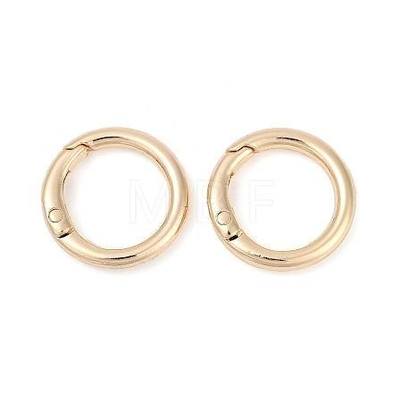 Alloy Spring Gate Clasps X-FIND-H012-05KCG-1