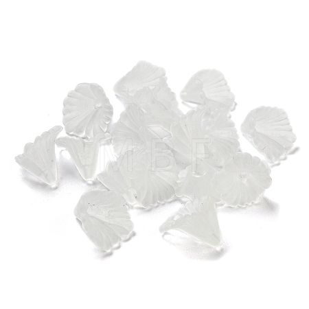 Transparent Acrylic Beads PL622-9-1