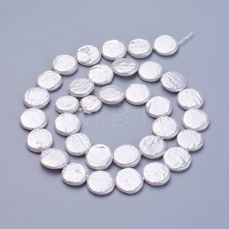 Shell Pearl Beads Strands X-BSHE-P030-01B-1