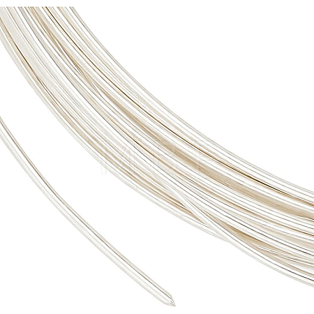 1Pc 999 Fine Silver Wire STER-BC0001-66A-1
