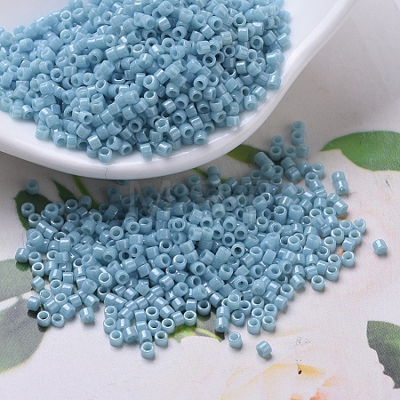 MIYUKI Delica Beads SEED-X0054-DB0218-1
